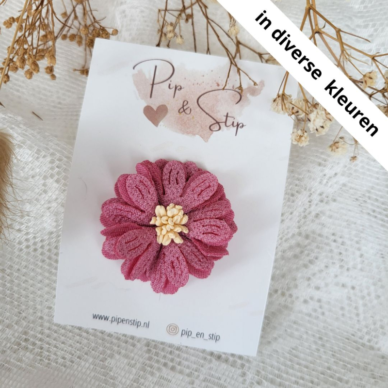 Alligatorspeldje Bloom