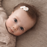 Antislip Haarspeldjes Madeliefjes Mix