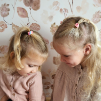 Setje Haarelastiekjes Snoepwinkel