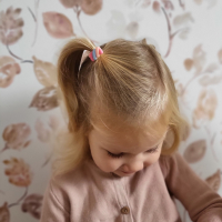 Setje Haarelastiekjes Snoepwinkel