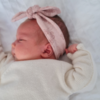 Haarband Oudroze Bloemen