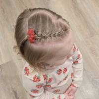 Alligator Haarspeldje Love Hearts