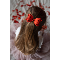 Haarstrik Valentijn Hartjes Rood