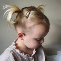 Haarspeldjes Glitters