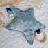 Rammelaar Minky Fleece Blauw